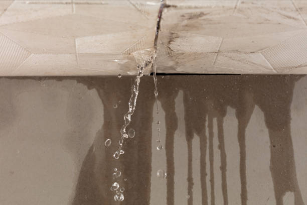 Professional Sewage Cleanup technician working in Harrington, WA
